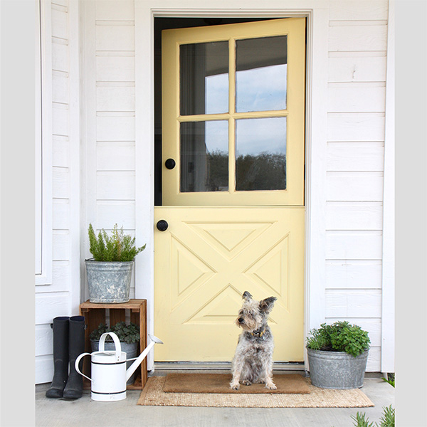 Dog Sitting on Front Porch with Yellow Dutch Door