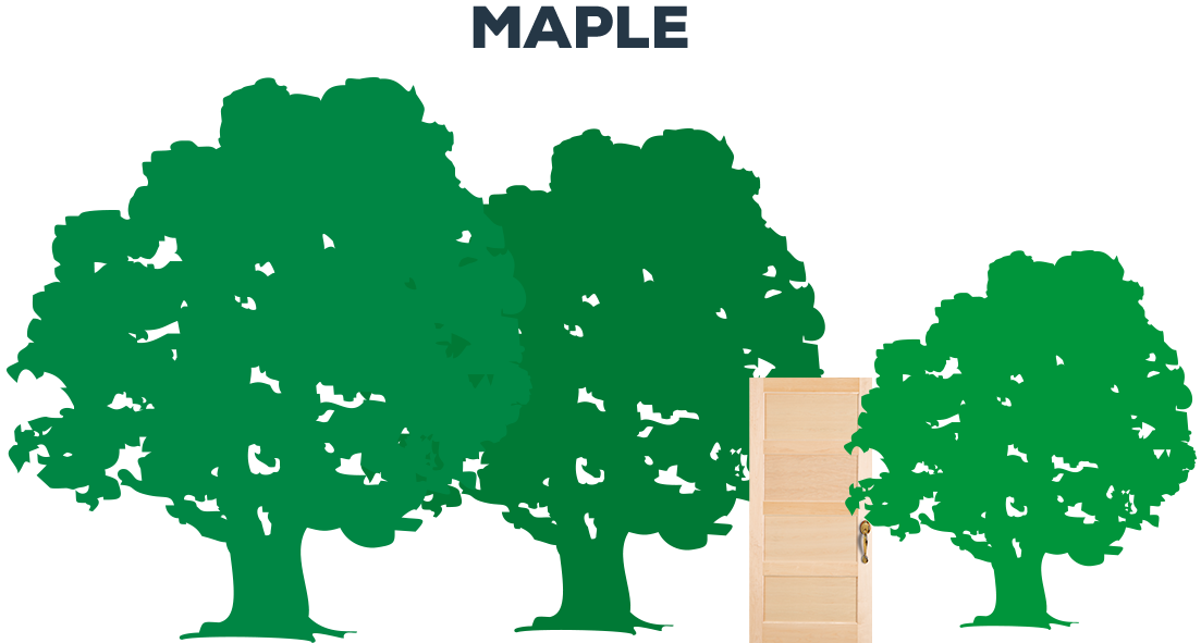 Maple